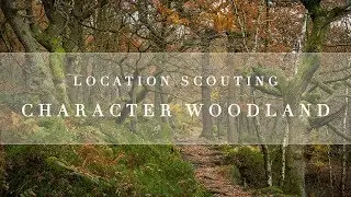Landscape Photography | Location Scouting for Character Woodland