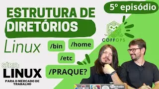 Entenda a estrutura de diretórios do Linux, /bin, /etc/, /home e outros! | Coffops