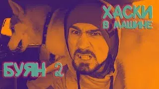 [Архив] Хаски в машине. Новый Буян. Хаски Капелла и щенки