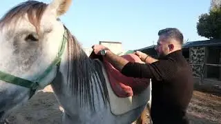 BİNİCİLİK EĞİTİMİNE TALEP ARTTI!