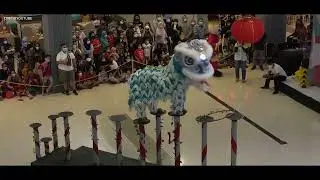 Barongsai tonggak performance show @TerasKota BSD | Chinese New Year 2022