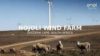 Nojoli Wind Farm. Eastern Cape, South Africa