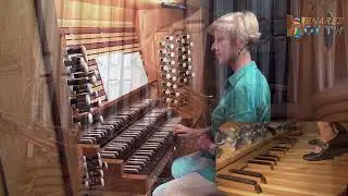 Nicolaus  Bruhns  (1665-1697)  Preludium in E minor, mi menor "Little" played by Liudmila Matsyura
