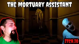 Unveiling The Eerie World Of Mortuary Assistants: A Spine-chilling Demo!