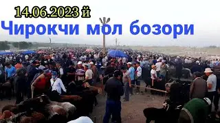 Чирокчи мол бозори нархлари 14.06.2023 й