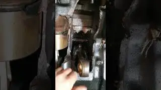 Она покажет тебе всё