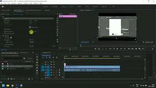 How to do Animation in Adobe Premiere Pro | What is Effect Control Panel