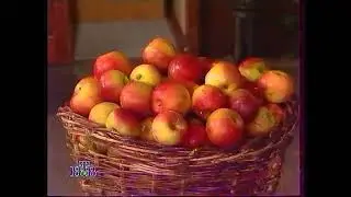 НТВ - Улица Сезам (фрагмент) - 18.12.1996