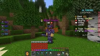 Playing on a Public Lifesteal SMP... 