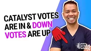 The results are in! Project Catalyst Fund 10. Down down, down votes are down.