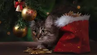 Поздравление с новым годом в прозе