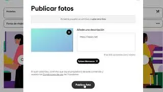 Publica y comparte imágenes con enlaces que vinculen a tu sitio web