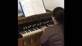 Редкие инструменты. Фисгармония