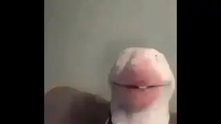 21st Century Humor (20 Sub special.)