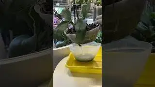 Зачем так сажать. 