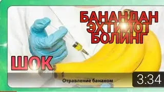 шок хабар