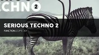Techno Samples - SERIOUS TECHNO 2 - Royalty Free Drum Samples, Basslines, Synth Melodies, Loops, Vox