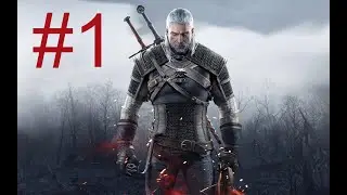 Прохождение Ведьмак 3: Дикая Охота (The Witcher 3: Wild Hunt) — Часть 1