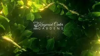 KINGWOOD CENTER GARDENS Company Profile