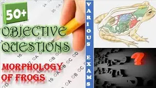 Morphology of frogs | 50+ Objective Questions asked in various exams | Objective biology