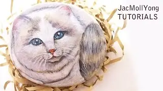Pets Art_Cat Rock Painting Tutorial_White fluffy cat with blue eyes
