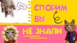 СПОРИМ ВЫ НЕ ЗНАЛИ
