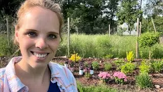 Great Perennials For A Cottage Garden! | Simply Bloom