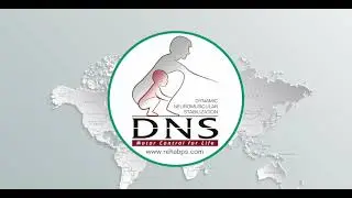 Koncept DNS