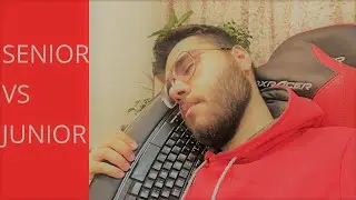 senior vs junior developer