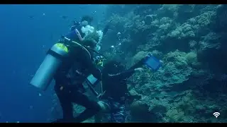 The Future and Present of Our Oceans