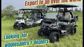 Affordable golf carts for sale from China - direct golf cart factory, support customization