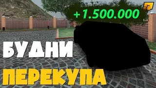 КАК ПРОХОДЯТ ТИПИЧНИЕ БУДНИ ПЕРЕКУПА В RADMIR RP CRMP РАДМИР ПР КРМП Hassle Online