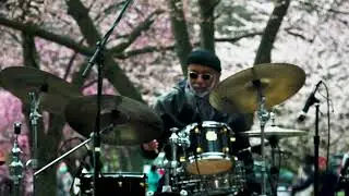 Peace On Earth at the Cherry Blossom Festival