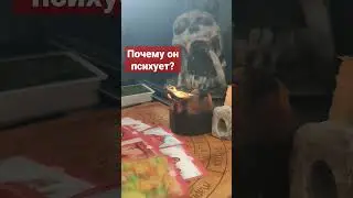 Почему он нервный? 