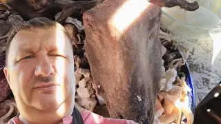 ДВА КАСКЫРА - Блюдо из Баранины и Реальный Казахский Бургер, а не его подобие