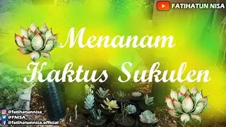 Menanam Kaktus Sukulen | Plant Cactus Succulent