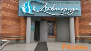 Акванариум в Рязани