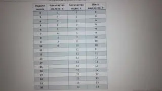 Схема выпойки молока и воды при кормлении с 3 дня зерном.
