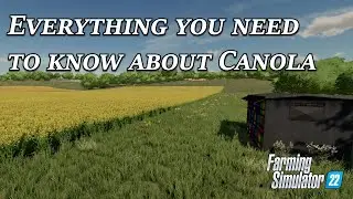 Everything you need to know about Canola in Farming Simulator 22