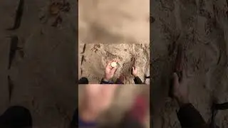 How does something like that get there?! 🤔