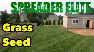 Turf Type Tall Fescue Grass Seed That Does WHAT?
