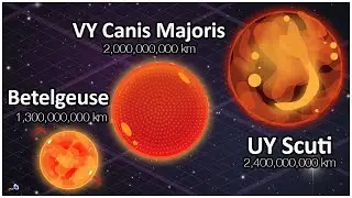 Universe Size Comparison 2024
