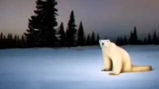 что вы видите на этой фотографии?
