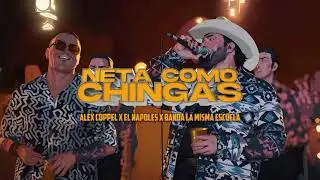 Alex Coppel, El Napoles & Banda La Misma Escuela - Neta Como Chingas (Video Oficial)