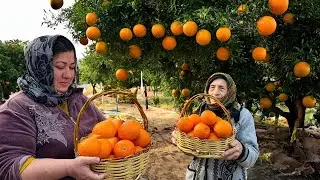 MAKING ORANGE JAM AND PEACH SWEETS - COUNTRY LIFE WITH GRANDMA ROSE!