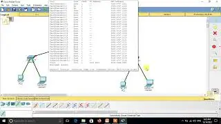 Remote Network Configurations (hosts, switches, and routers)