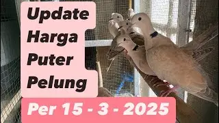 Update Price of Puter Pelung as of March 15, 2025 ⁠@sugitokambojaBF