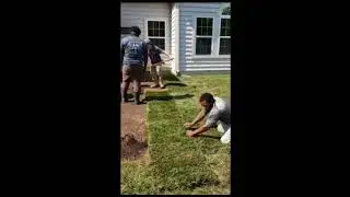 MRW Lawns Team - Lawn Renovation