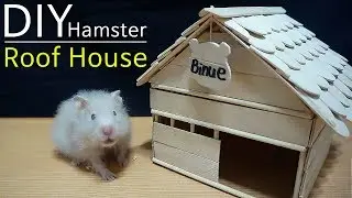 How To Make a Roof House for Hamster
