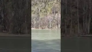 12 июня 2024 г.